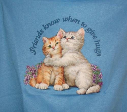 Friends Know When to Give Hugs Cat Kitten T Shirt S 5X  